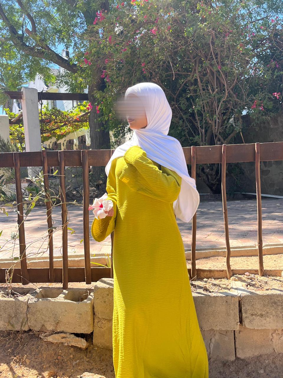 Dilara Dress