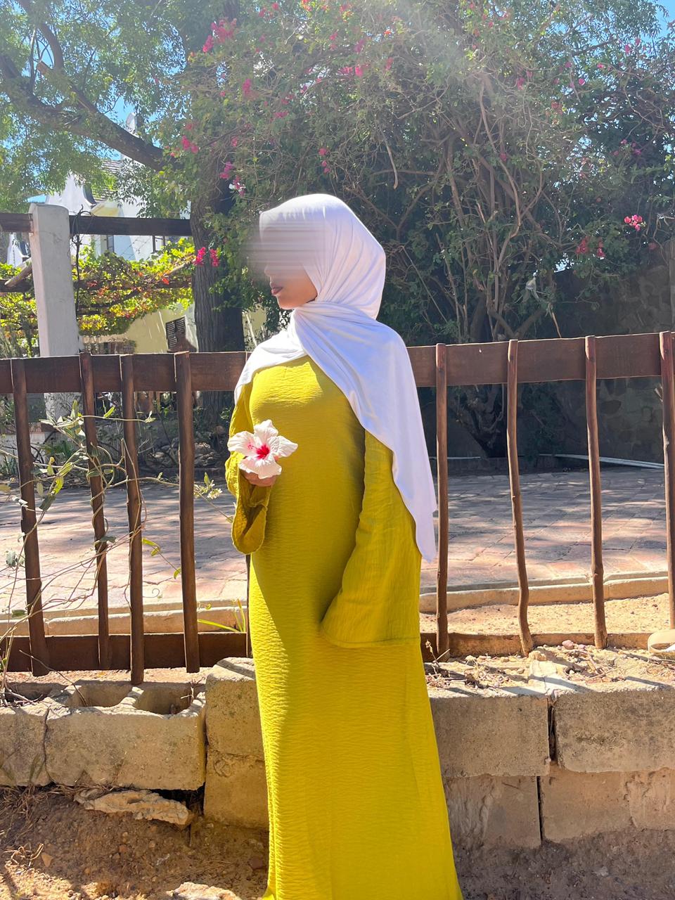 Dilara Dress